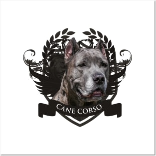 Cane Corso - Italian Mastiff Posters and Art